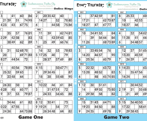 Online Bingo Double Book